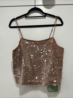 Madewell Sequined brown Spaghetti Strap Crop Top
